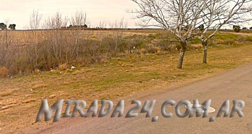 Parque Industrial Rosale&ntilde;o: �Un sue&ntilde;o roto�