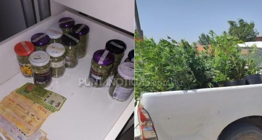 Una pareja fue aprehendida por tenencia de marihuana y armas de fuego