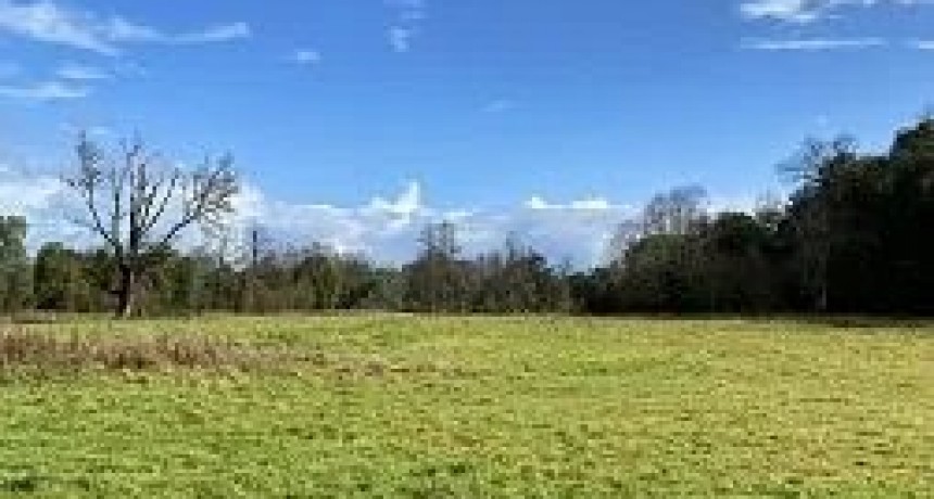 CORRUPCI&Oacute;N LIBERTARIA: EL REFERENTE BONAERENSE SEBASTIAN PAREJA ENVUELTO EN UNA ESTAFA CON TERRENOS DONADOS